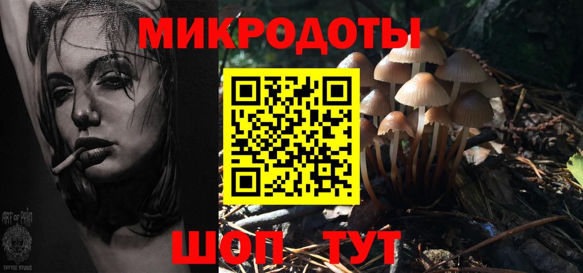 купить наркотик  Галлюциногенные грибы Magic Shrooms  Курганинск  Вход с VPN  Галлюциногенные грибы Magic Shrooms 